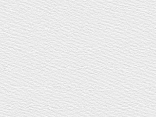 White Paper Texture