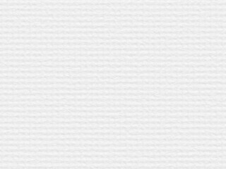 White Paper Texture