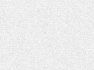 White Paper Texture