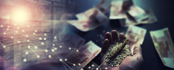 The concept of the cost of grain. 5000 ruble banknotes around a handful of ground grain. World...