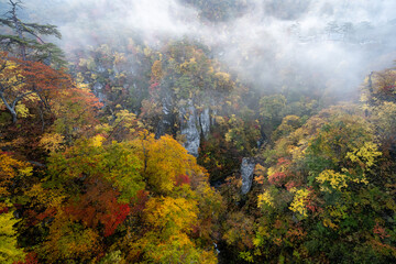 朝靄たなびく峡谷