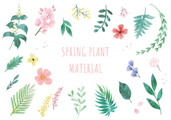 Set of spring plants. Vector illustration.