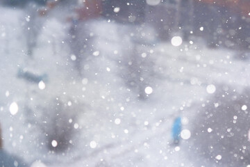 Blurred snow background. Winter landscape. Trees and plants covered with snow.