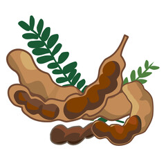 tamarind
