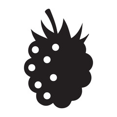 Raspberry, food, berry icon
