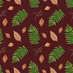 Forest pattern. Ferns, autumn leaves on a dark background.