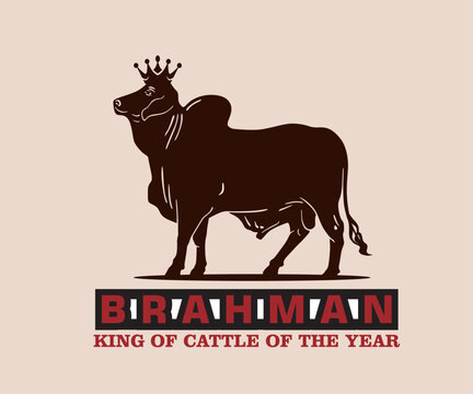 BRAHMAN CATTLE LOGO, silhouette of bull king standing vector illustrations
