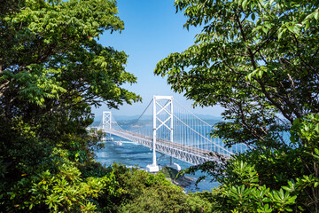 樹間から覗く橋