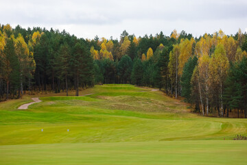 Fototapeta na wymiar Autumn landscape on the golf course, yellow leaves on trees