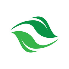 Green leaf illustration