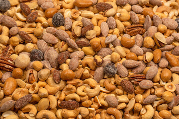 A group of almonds, pistachios, walnuts, macadamia, cashews.
