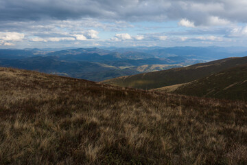 Beautiful view of the carpathian moun landscape with green meadows, trees, dark low clouds on the mountains in the background. travel destinations.
