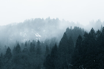 霧深い山