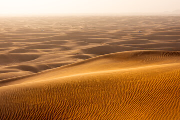 The red deset outside Dubai, with a dune in the foreground and a dunescape extending to the horizon in the background