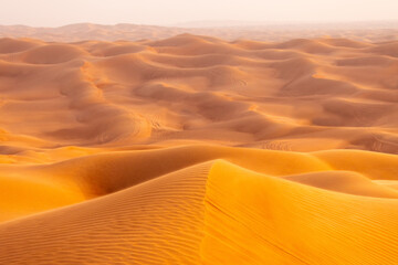 Fototapeta na wymiar Symmetrical close up of the crest of a dune, against a vast expanse of desert extending to the horizon
