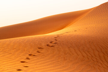 Close up of dunes marked by footprints in the Dubai red desert during the golden hour