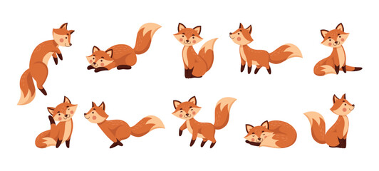 Cute cartoon fox, forest characters. Funny red animals, orange child beautiful mammal, wildlife persons. Cunning mascot in different poses. Wildlife creature. Vector illustration tidy set