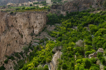 The green mountains called Jebel Akhdar of the Hajar mountain range, the harsh interior of Oman, home of traditional rose harvesting and fruit farming