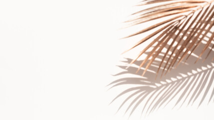 Fototapeta premium Blur abstract coconut leaf with gold color