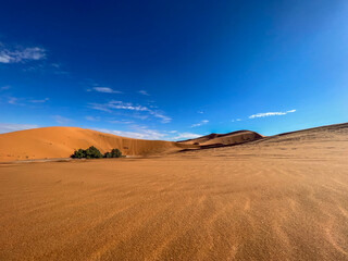 The sahara desert and its sand dunes with a blue sky as a background.