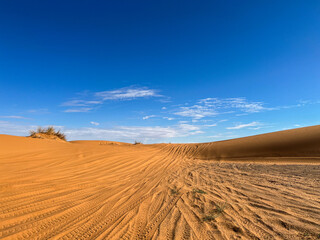 The sahara desert and its sand dunes with a blue sky as a background.