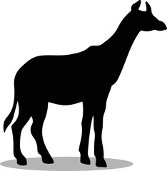 Okapis Silhouette, cute Okapis Vector Silhouette, Cute Okapis cartoon Silhouette, Okapis vector Silhouette, Okapis icon Silhouette, Okapis Silhouette illustration, Okapis vector																							