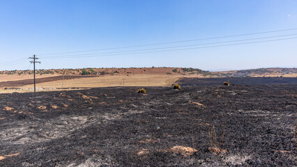 Farm Fire Burned Dry Grass Fields Blue Sky Horizon Hill.