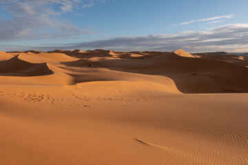 Fototapeta na wymiar Beautiful sand dunes in the Sahara desert.