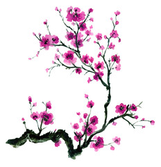 Oriental INK watercolor illustrations arrangement ornament  elements isolated transparent for product, packaging, initation, greeting