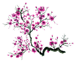 Fototapeta premium Oriental INK watercolor illustrations arrangement ornament elements isolated transparent for product, packaging, initation, greeting