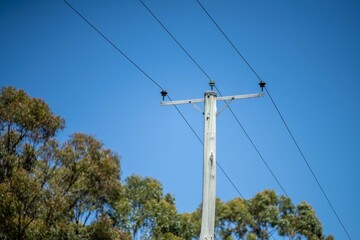Fototapeta premium power lines in the bush