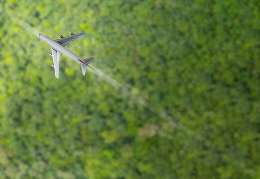 The plane flies over the forest