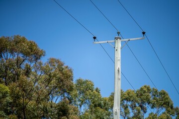power lines in the bush