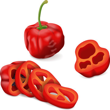 Whole, quarter, slices, and wedges of Rocoto peppers. Locoto peppers. Rocote peppers. Capsicum pubescens. Chili pepper. Vegetables. Vector illustration isolated on white background.