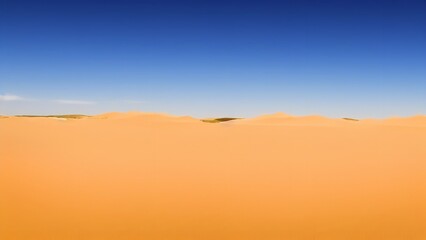 Fototapeta na wymiar Desert Landscape with Desert sand dunes.