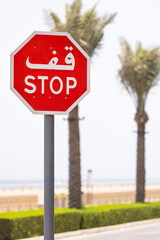 Close up of a stop street sign written both in arabic and in roman characters, against an out of focus background with palm trees