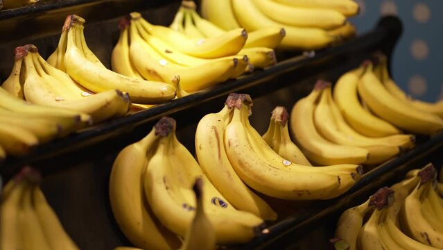 Buy fresh bananas at the store