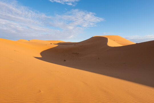 Beautiful sand dunes in the Sahara desert. © Alessandro Vecchi