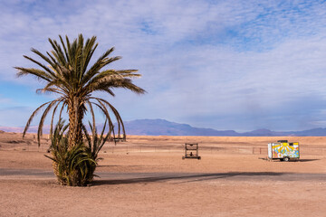 A date palm and abandoned objects in the middle of the hot desert