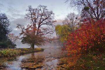 Fototapeta premium Herbst