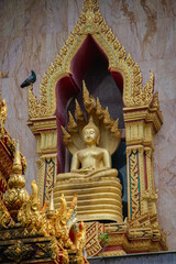 Fototapeta premium golden buddha statue