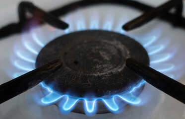 Blue flame. Burning gas in the burner on the stove close-up