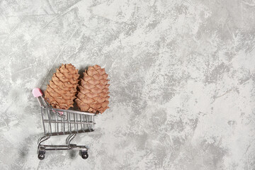 Useful pine nuts and pine cones in a grocery cart on a gray background. The concept of buying...
