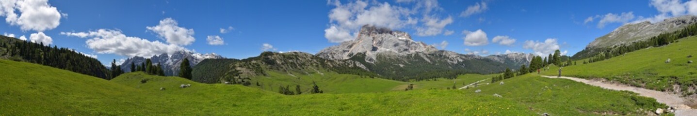 Fototapeta na wymiar Panorama Bergwiese in den Alpen / Südtirol