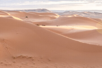 Fototapeta na wymiar Beautiful sand dunes in the Sahara desert.