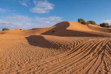 Fototapeta na wymiar A panoramic view of the vast Sahara desert, with rolling sand dunes,