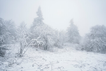 Winterlandschaft Rhön- Winterwanderung auf der Langen Rhön 16