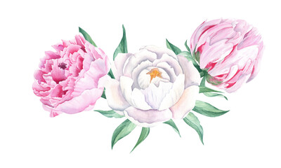 Watercolor peonies bouquet isolated on white background. Hand painted combination of white and pink flowers and green leaves. Can be used for greeting cards, wedding invitations, save the date, fabric