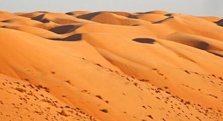 Fototapeta na wymiar Deserts - Wahiba Dunes in the Omani Desert, Oman