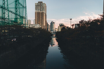 Tokyo Street Photography